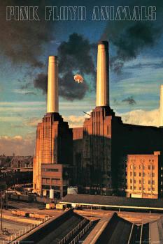 Pink Floyd - Animals - Wall Poster: 24 inches x 36 inches (HL-00149834)