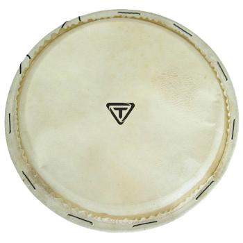 Traditional Series Replacement Djembe Head (12 inch.) (HL-00755734)